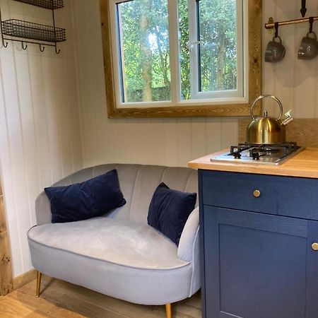Herdwick Shepherd Hut Exeter Exterior foto